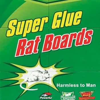 30g Ready Baited Mickey Cats Brand Big Rat 80AAA Trampas de pegamento para ratones