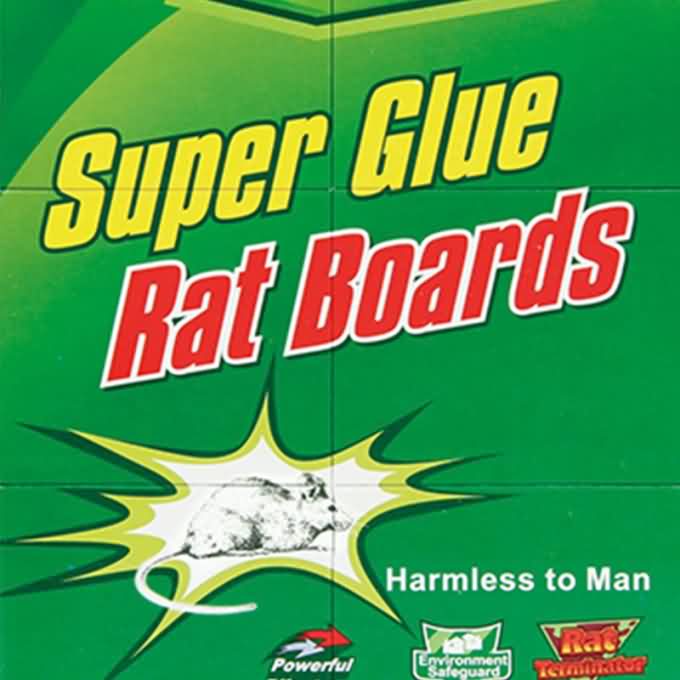 30g Ready Baited Mickey Cats Brand Big Rat 80AAA Mouse Glue Traps