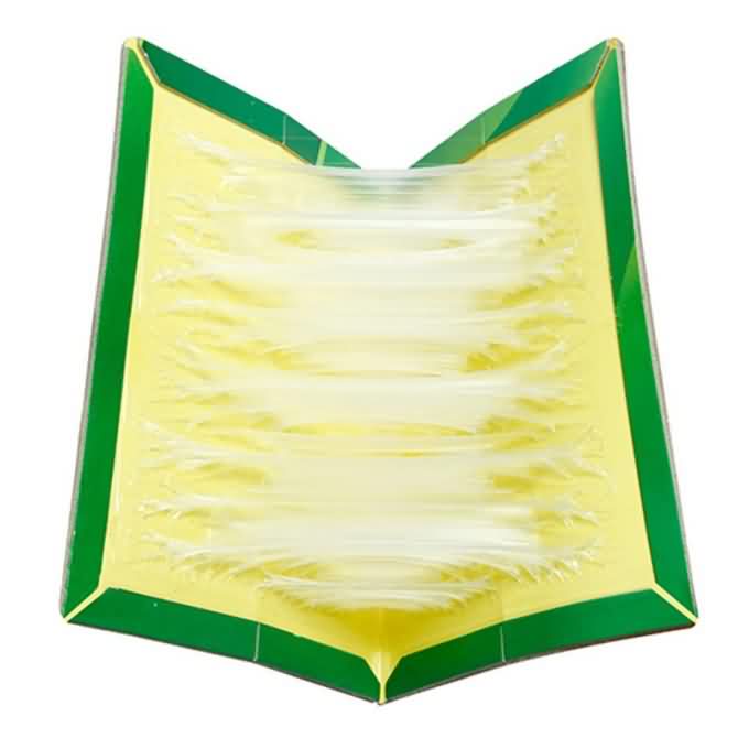 Cheap 8001 Transparent Mouse Glue Board Trap In Large Size