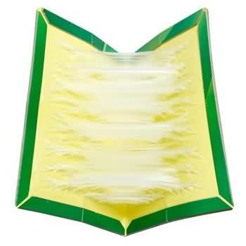 Edge Leaf 8003 Large Size Cheap Paper Board Mouse Glue Trap-1