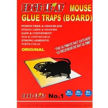 Genuine Edge Leaf JH-29 Trampas de pegamento para ratones de tamaño pequeño