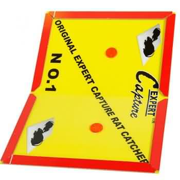 High Performance 8007 Medium Size Red Mouse Glue Board Trap