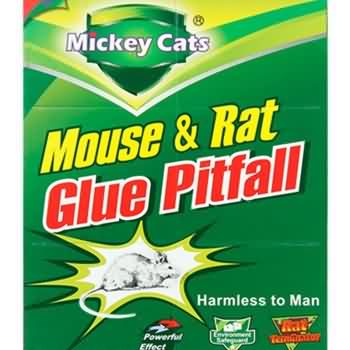 Superior Sticky Transparente Mickey Cats 80AA Ratón Pegamento Tablero Trampa