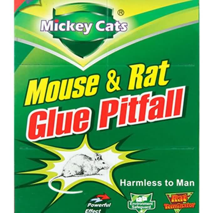 Superior Sticky Transparent Mickey Cats 80AA Mouse Glue Board Trap