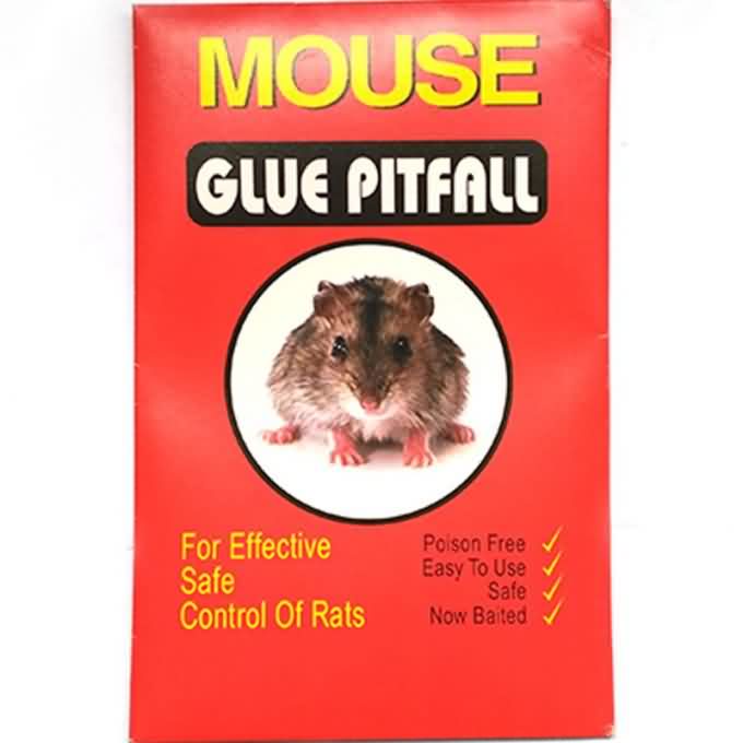 G-03 Red Rat Mouse Glue Pitfall Small Size Paper Board