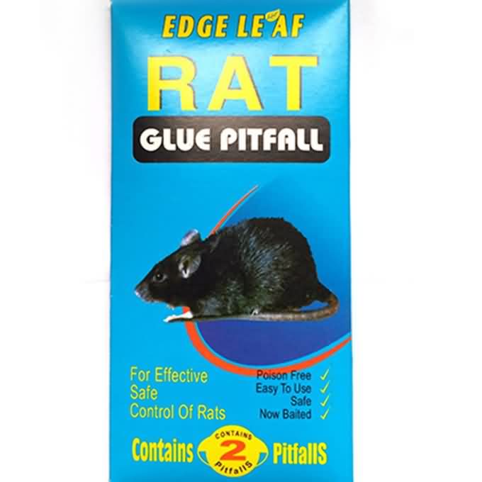 Mouse Trap GO-05 Rat Killing Glue Pitfall L Size Board