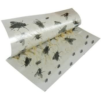 Yiwu Jingong DLE-3004 Edge Leaf Fly Glue Board Green Paper Glue Traps