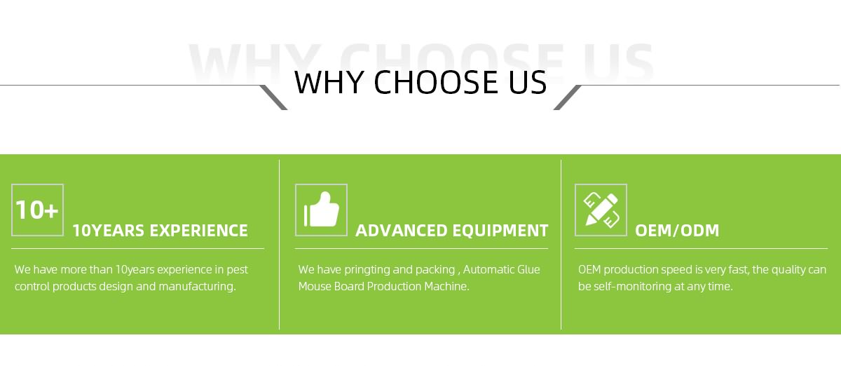 Why-Choose-Us